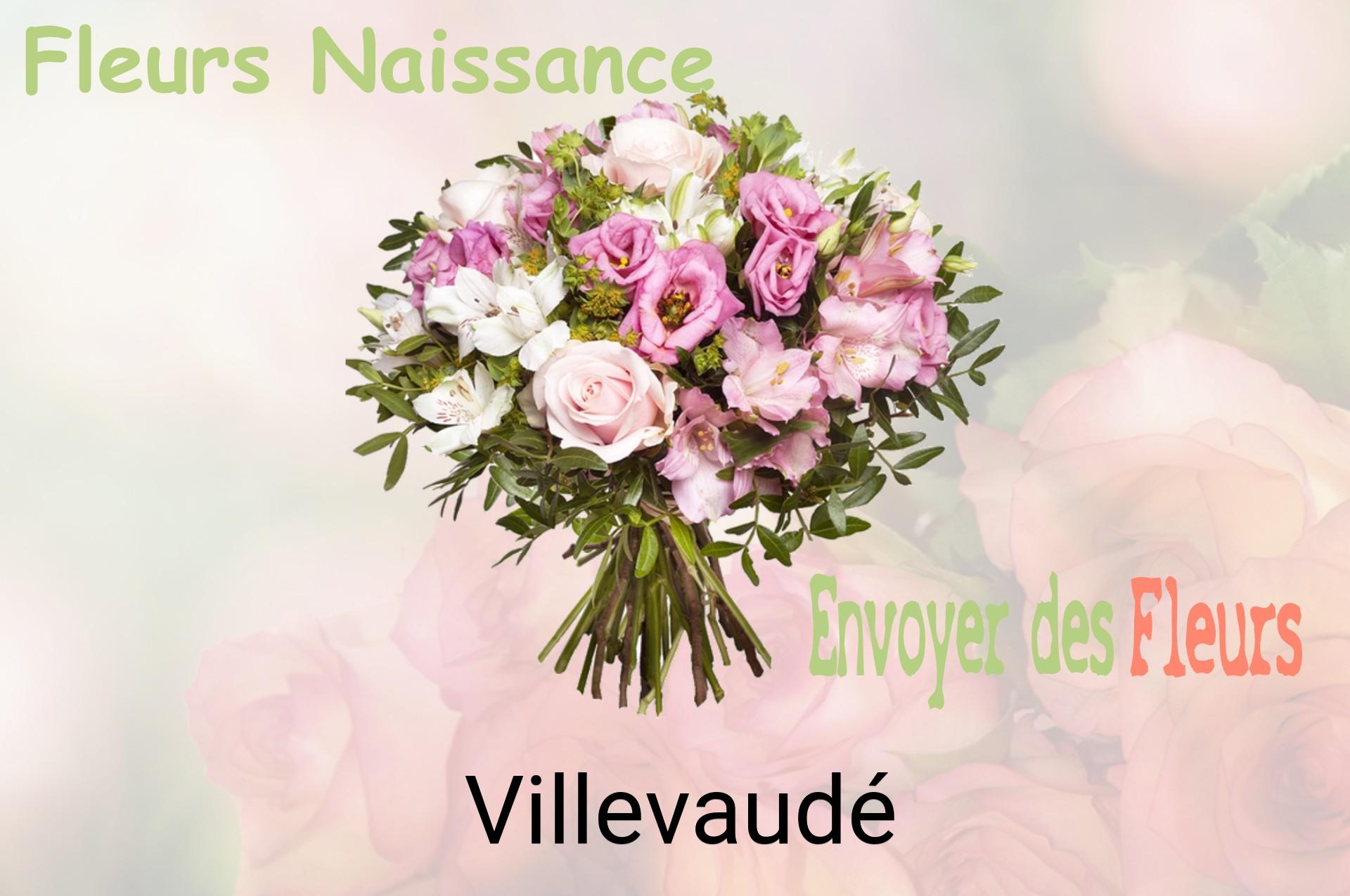 Bouquet de fleurs de naissance livré à Villevaudé